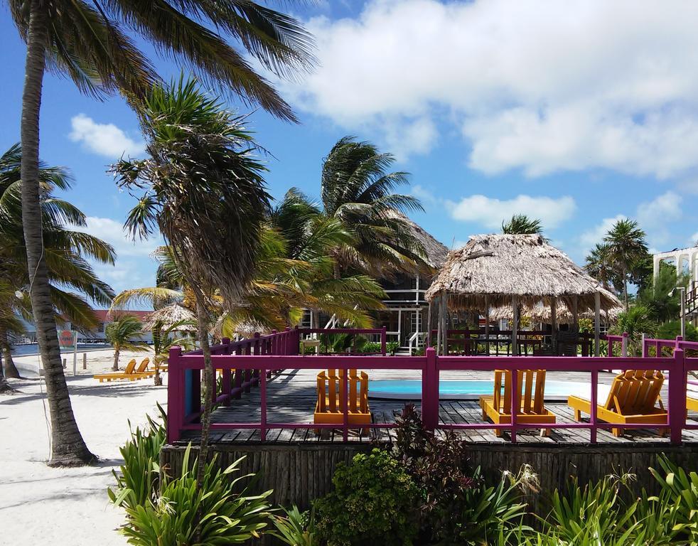 Exotic Caye Beach Resort San Pedro  Exteriör bild