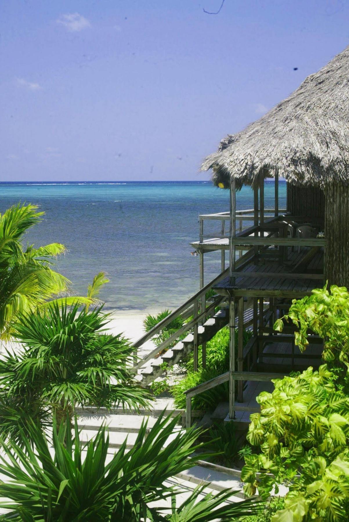 Exotic Caye Beach Resort San Pedro  Exteriör bild