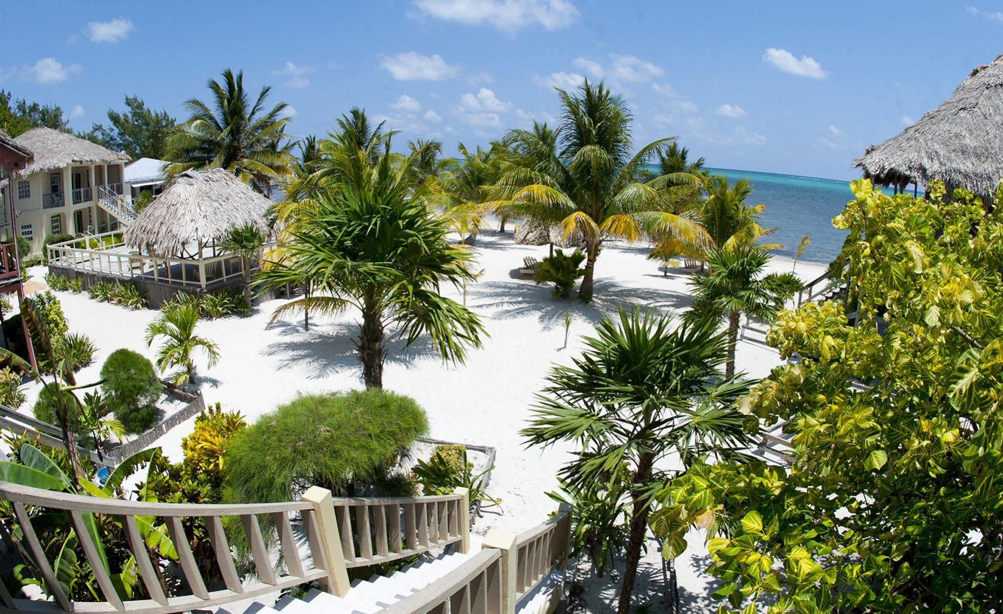 Exotic Caye Beach Resort San Pedro  Exteriör bild